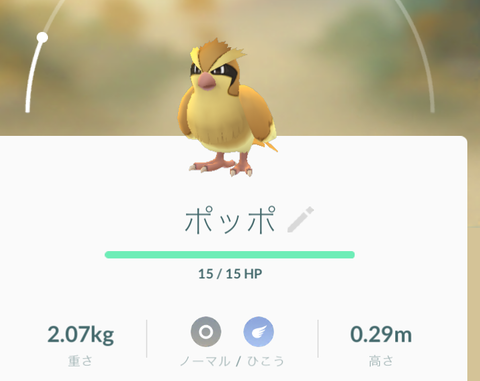 ポッポ