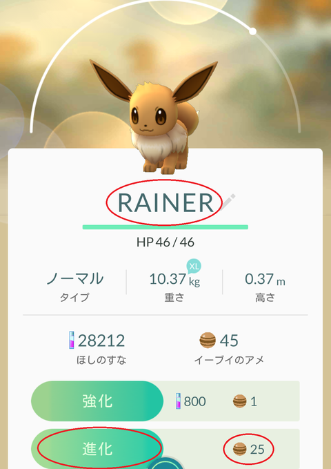 イーブイ進化させます