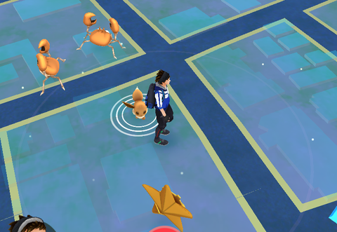 ポケモン大量!