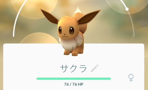 サクラ