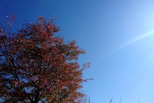 20181104101613