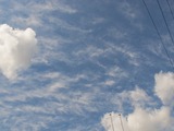 IMG_0003 (3)
