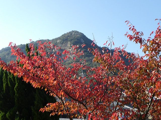 ishikirinomori