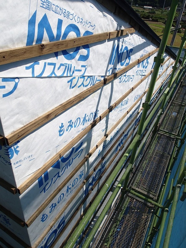 P5100121