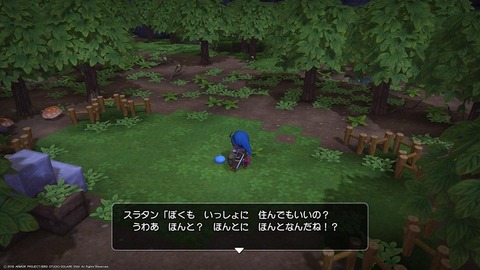 DQB3-4