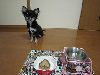 20120214_14