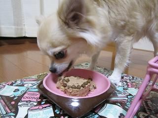 20120214_22