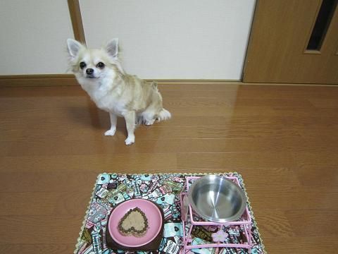 20120214_8