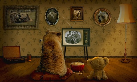 bear-3145874_640 (1)