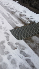 fd705e29.jpg