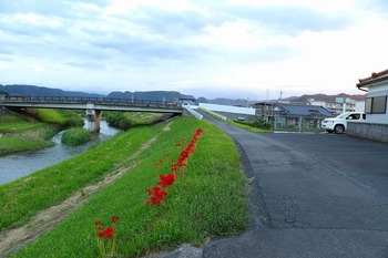 565A0036