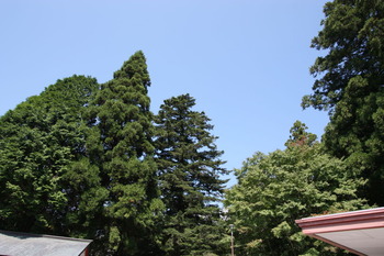 天気が良い