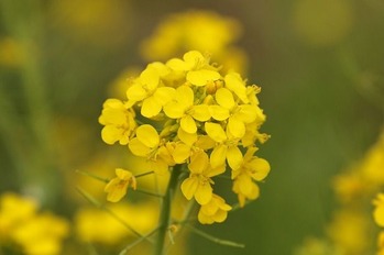 565A6057