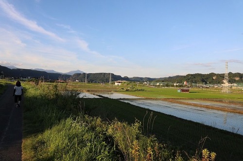 540A6401