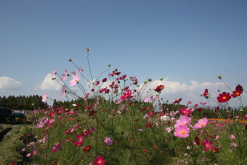 生駒高原