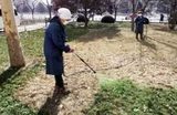 中国緑化事業