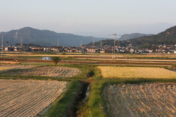田んぼ