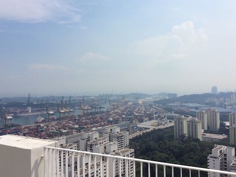 pinnacle@duxton8