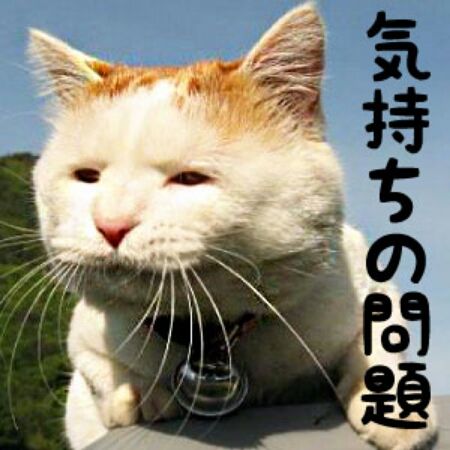 1ba54db2.jpg