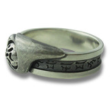 ring_h_new2