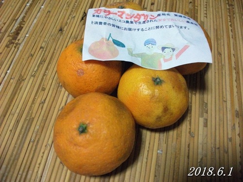 20180601mandarin