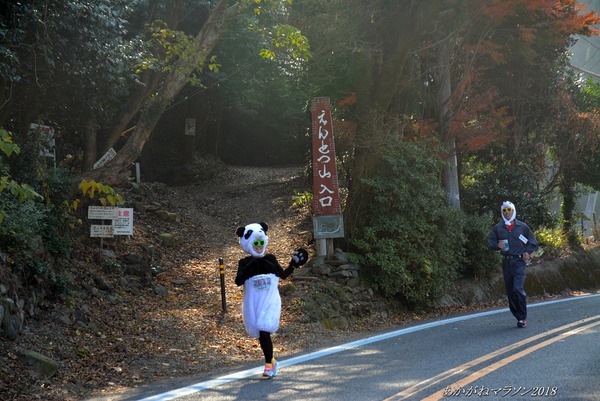 201812020002kyuusui