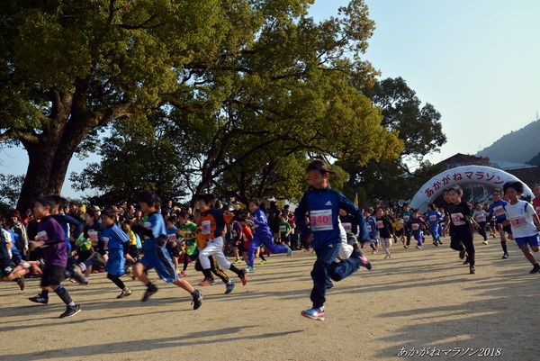 201812020005itikiro