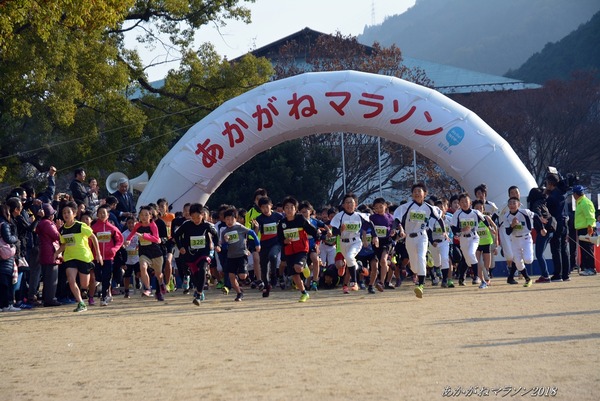 201812020001nikiro