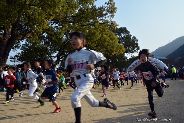 201812020009itikiro
