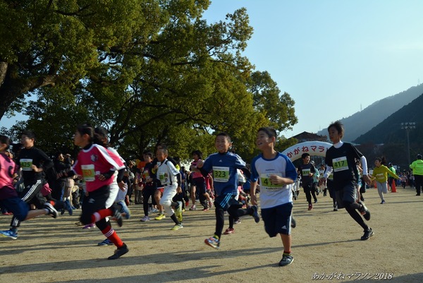 201812020006nikiro