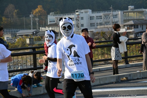 201812020006hasinoue