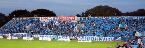 ハマブルーのスタンド