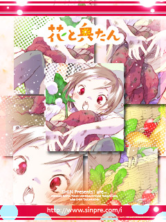 �����ɥ���֤ȱ�����vol.2