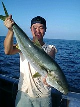 20909337.jpg
