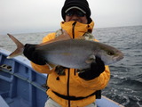 338cd3e3.jpg