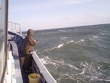 85c385a2.JPG