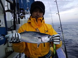 c8250474.jpg