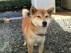 CIMG0221