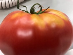 IMG_1463トマト