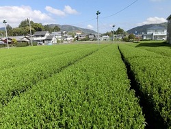 CIMG0574