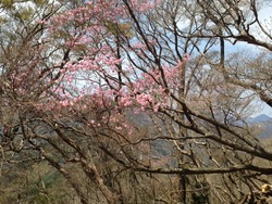 写真4