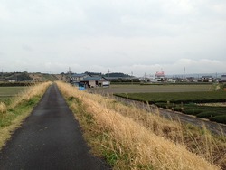 土手
