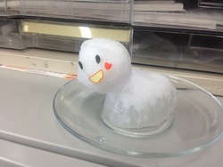 写真 (23)