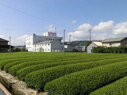 CIMG0577