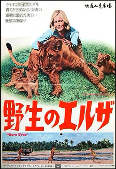 野生のエルザ : 暗闇の中に世界がある ーこの映画を観ずして死ねるか！ー