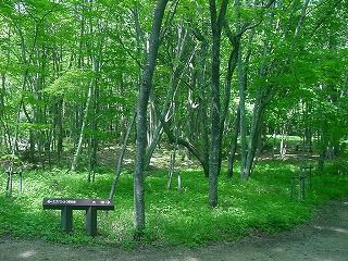 2011-06-03 001