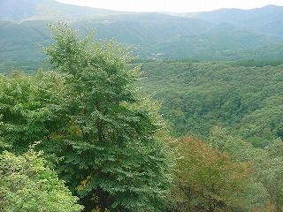 2011-10-4 013_320