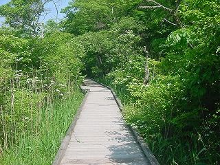 2011-06-03 009