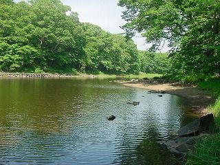 2011-06-03 017