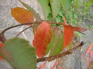 2011-10-4 027_320